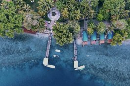PLN dan Icon Plus Akan Operasikan PLTS Atap di Kawasan Pasir Putih Pulau Dutungan