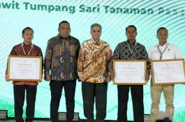 Akselerasi Program PSR, Kementan Targetkan Pertanaman Tumpang Sari Padi Gogo 500 Ribu Hektar