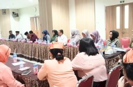 Komisi IV DPRD Wajo Study Tiru Manajemen Pelayanan Pasien di RS Grestelina