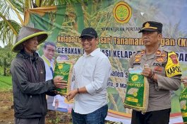 Pacu Produksi Beras, Kementan Gelar Gerakan Tanam Padi Gogo Integrasi Kelapa di Sukabumi
