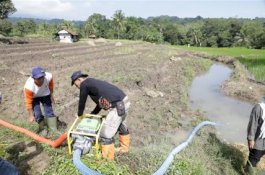 Mentan: Merah Putih Memanggil Kita Segera Turun Ke Sawah