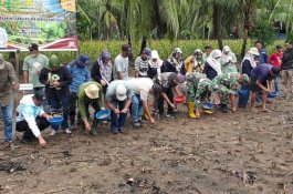 Kementan Lakukan Pencanangan Penanaman Padi Gogo Tumpang Sari Kelapa di Wajo