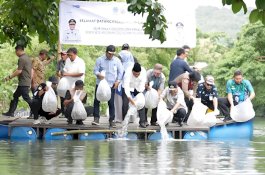 200 Ribu Benih Ikan Nila Ditebar di Barru
