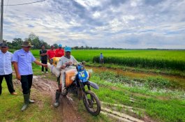 Optimalisasi Lahan di Lampung, Kementan-TNI Terjun ke Lapangan Setiap Hari