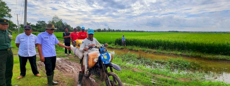 Optimalisasi Lahan di Lampung, Kementan-TNI Terjun ke Lapangan Setiap Hari