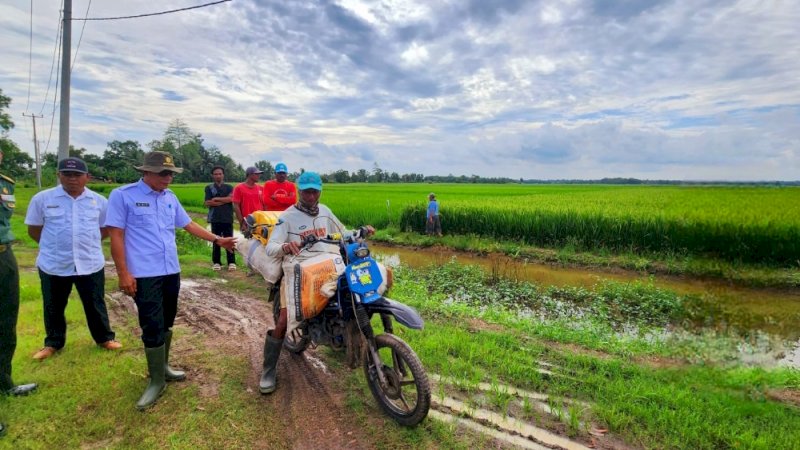 Optimalisasi Lahan di Lampung, Kementan-TNI Terjun ke Lapangan Setiap Hari