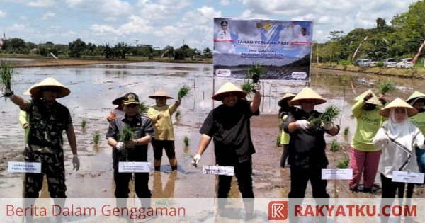 Kebut Optimalisasi Lahan, Kementan Gelar Tanam Padi Perdana di Kalimantan Tengah