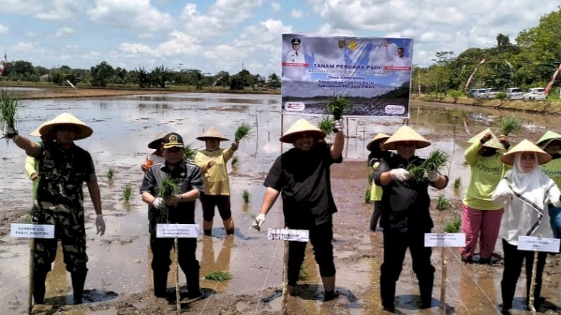Kebut Optimalisasi Lahan, Kementan Gelar Tanam Padi Perdana di Kalimantan Tengah