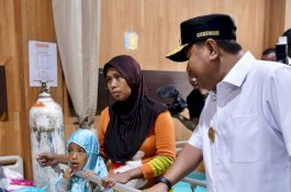 Pj Gubernur Sulsel Pastikan Pelayanan Kesehatan di RS dan Puskesmas Tetap Berjalan saat Cuti Bersama Lebaran Idulfitri
