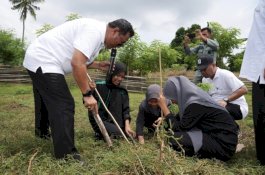 Sulsel Tanam 2 Juta Pohon di Hari Bumi, Terbesar di Indonesia