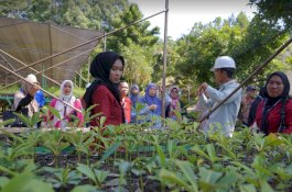 PT Vale Kolaborasi YPS Berdayakan Tenaga Pendidik di Loeha Raya