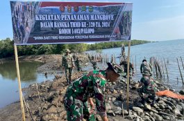 Cegah Abrasi, Satgas TMMD Kodim 1403/Palopo Tanam Mangrove di Pantai Sipa