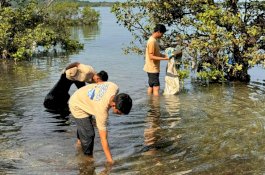 Bersama Masyarakat, PLN Indonesia Power UBP Barru Ciptakan Pantai Lasonrai yang Bersih dan Lestari