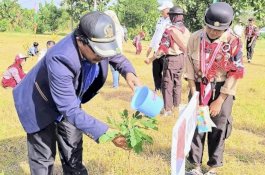 Ketua Komisi II DPRD Wajo tanam pohon peringati Hari Lingkungan Hidup Sedunia
