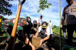 Hari Lingkungan Hidup Sedunia, Pemkab Gowa Tanam 1.000 Pohon di Lahan Kritis