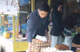 Beda Program Plt Ketua PKK Tekan Inflasi di Barru, Pengusaha Arizaldy Turunkan Program Grebek Pasar