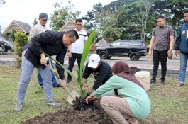 Pj Bupati Wajo Hadirkan Varietas Kelapa Bido di Objek Wisata Rumah Adat Atakkae