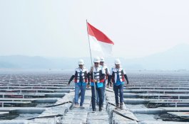 PLN Jadi Perusahaan Utilitas Terbaik Se-Kawasan Versi Fortune 500 Asia Tenggara