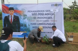 Hari Lingkungan Hidup Sedunia, DLH Lutra Tanam Pohon di Kawasan Terminal