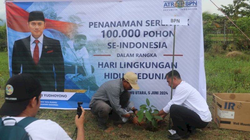 Hari Lingkungan Hidup Sedunia, DLH Lutra Tanam Pohon di Kawasan Terminal