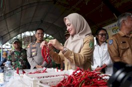 Serentak 24 Kabupaten se- Sulsel, Pemkab Luwu Utara Gelar GPM Jelang Iduladha