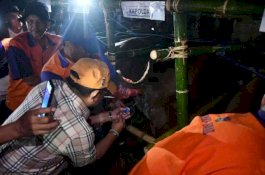 Indah Putri dan Pj Gubernur Pantau Program Optimalisasi Reproduksi IB di Lutra