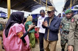 Sulsel Siap Jadi Pilot Project Pertanian Optimalisasi Lahan Rawa di Indonesia