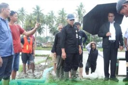 Mentan RI Amran Tinjau Lokasi Sebelum Kunker Presiden Jokowi di Bone