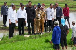 Pj Gubernur Sulsel Dampingi Presiden Jokowi Kunjungan Kerja di Kabupaten Bone