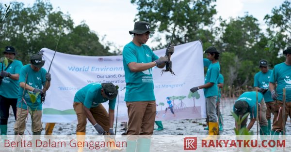 PT Vale IGP Pomalaa Tanam Ribuan Bibit Bakau Peringati Hari Lingkungan Hidup Sedunia