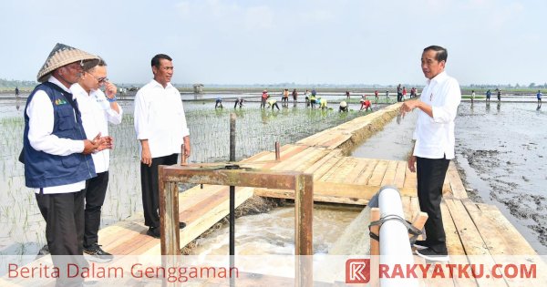 Mentan Amran Dampingi Presiden Jokowi Tinjau Program Pompanisasi di Lampung