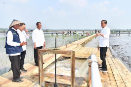 Mentan Amran Dampingi Presiden Jokowi Tinjau Program Pompanisasi di Lampung