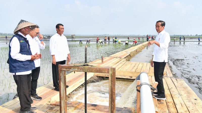 Mentan Amran Dampingi Presiden Jokowi Tinjau Program Pompanisasi di Lampung