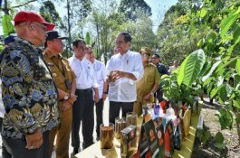 Presiden dan Mentan Amran di Lampung Barat, Pacu Produksi Kopi dan Peningkatan Kesejahteraan Petani