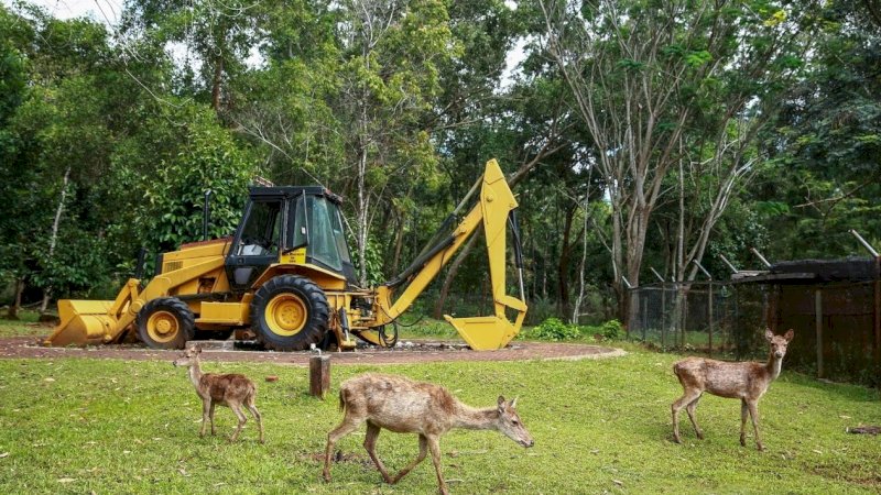 Ilustrasi. (Foto: PT Vale Indonesia)