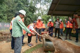 Menlu Retno Praktik Pertambangan Berkelanjutan PT Vale di Sorowako