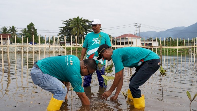 PT Vale Indonesia Tbk (PT Vale) Indonesia Growth Project (IGP) Morowali melaksanakan Kolaborasi Restorasi Ekosistem Pesisir di pantai Desa Bahomoahi, Bungku Timur, Morowali, Sulawesi Tengah. (Foto: PT Vale Indonesia)