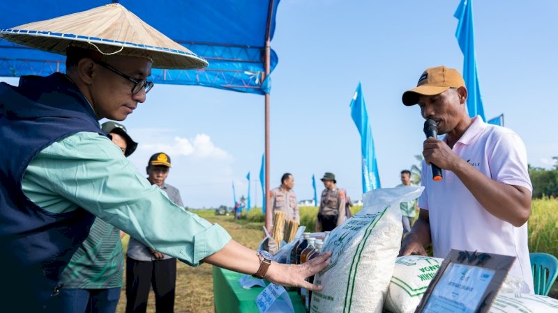 Direktur & Chief Sustainability and Corporate Affairs Officer, Bernardus Irmanto (kiri), saat menghadiri panen padi SRI Organik di Desa Puuroda, Kecamatan Baula, Kolaka, Jumat (26/7/2024). (Foto: PT Vale Indonesia)