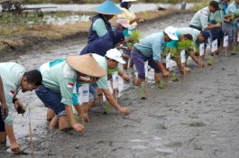 HUT Ke-56, PT Vale Tegaskan Komitmen Kepedulian pada Lingkungan dan Masyarakat