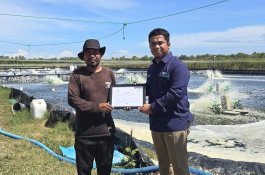 Tambak Udang di Sulawesi Selatan Hemat Belasan Juta per Bulan Berkat Listrik Hijau PLN