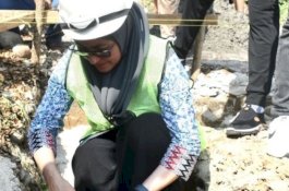 Bupati Luwu Utara Letakkan Batu Pertama Pembangunan DAK Fisik Pendidikan