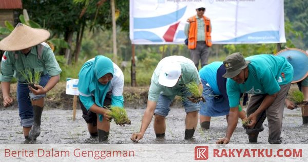 Produk Beras Organik Binaan PT Vale Raih Penghargaan Anugerah Daya Saing Pertanian