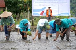 Produk Beras Organik Binaan PT Vale Raih Penghargaan Anugerah Daya Saing Pertanian
