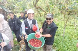Hulu Trip Dompet Dhuafa Sulsel: Kenalkan Pemberdayaan Kopi di Desa Kahayya, Bulukumba