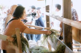 Kementrian Lingkungan Hidup Gelar Kunjungan di Kampung Hijau Energi LAZ Hadji Kalla 