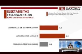 Pammase Unggul di Survei Terbaru Pilkada Wajo 2024