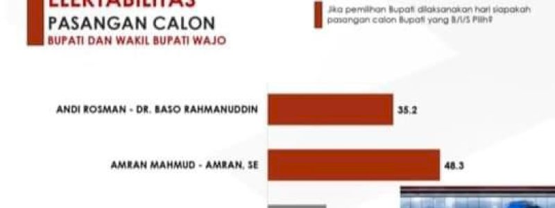 Pammase Unggul di Survei Terbaru Pilkada Wajo 2024