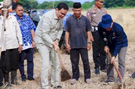 Bupati Barru Ajak Petani Tingkatkan Produktivitas Melalui Tradisi Mappalili