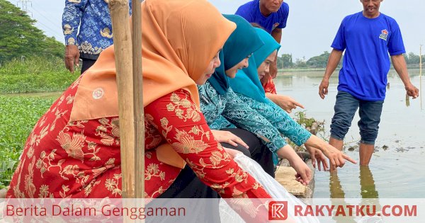 Ribuan Bibit Ikan Nila dan Mas Ditebar di Danau Mawang Gowa