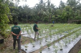 Tebarkan Lebih Banyak Manfaat, LAZ Hadji Kalla Tingkatkan Ekonomi dan Pemberdayaan Sosial di Desa-Desa Pelosok Kabupaten Donggala